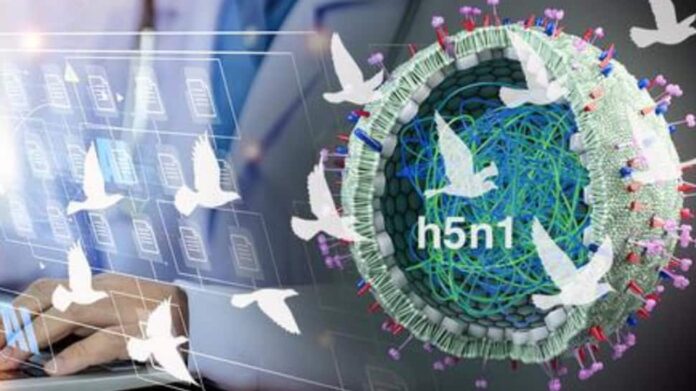 1819254-new-gen-ai-tool-ians.jpg New-Gen AI Tool To Detect Bird Flu Virus Exposure, Boost H5N1 Surveillance | Technology News