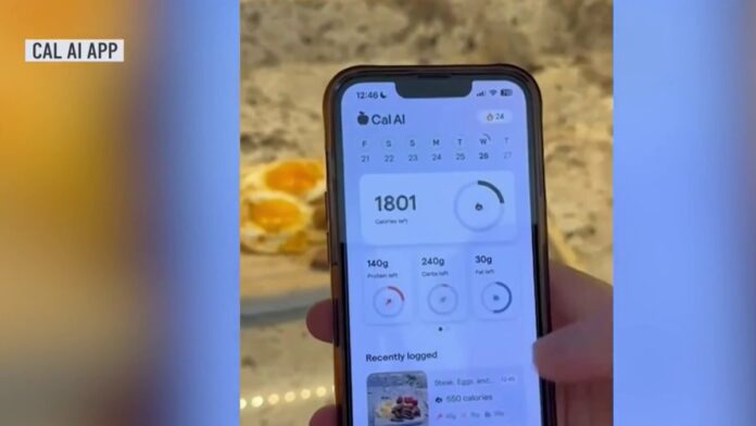 18-year-old University of Miami student creates AI food tracking app – NBC 6 South Florida