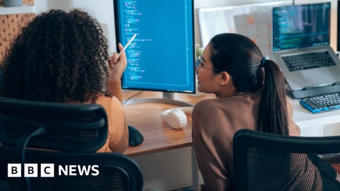 65f24b40-7767-11f0-8071-1788c7e8ae0e.jpg Computer science graduates struggle to secure their first jobs