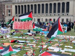 Rights group criticizes use of AI detection tools in the US for targeting pro-Palestine protestors - JURIST