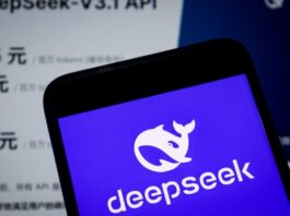 Fortune Tech: DeepSeek’s latest GPT rival, Google Gemini’s efficiency gains, Palantir’s mixed results