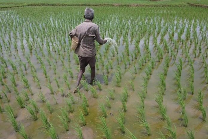 FarmPrecise App by WOTR Crosses 1 Lakh Downloads, Helping Farmers Reduce Input Costs with AI-Driven Advisories