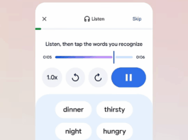 Google Translate Adds AI-Powered Conversation and Language Learning Tools