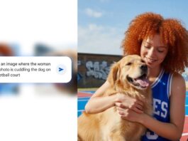 Google launches Nano Banana AI photo editor, Sundar Pichai goes bananas with photo of his dog