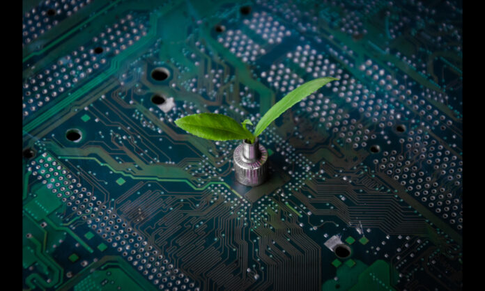 shutterstock_577242466-2.jpg sidebar image of the day