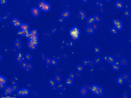 New AI Tool Reveals How Drugs Kill Tuberculosis