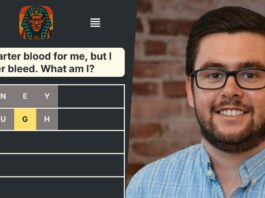 How a solo creator scaled a daily game to 1000 users without writing a single line of code