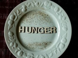 IIT-AIIMS Jodhpur Develop AI Tool to Revolutionize Childhood Malnutrition Screening