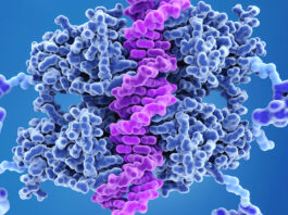 AI unlocks the hidden grammar of gene regulation
