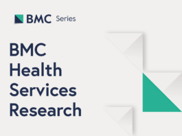 Managing a “responsibility vacuum” in AI monitoring and governance in healthcare: a qualitative study | BMC Health Services Research
