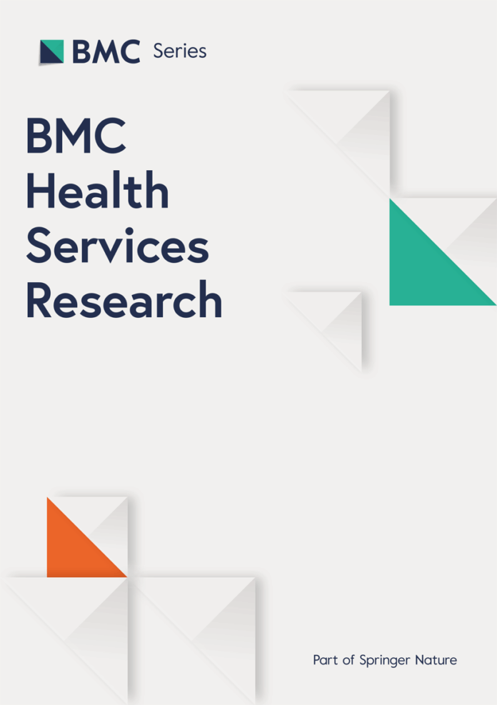 Managing a “responsibility vacuum” in AI monitoring and governance in healthcare: a qualitative study | BMC Health Services Research