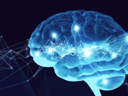 AI Agent Types – And Memory