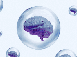 Are We in an AI Bubble? - The Atlantic