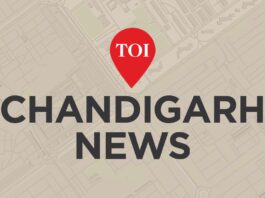 PU team can detect cloned & human voices with AI tool | Chandigarh News