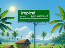 Revolutionary AI Tools Aim to Curb India's Post-Harvest Fruit Wastage