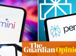 AI investors are in for a rude awakening | Roger McNamee