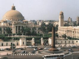 Egyptian University Students Can Access Google's Gemini Pro for Free