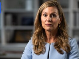 eSafety Commissioner Julie Inman Grant to target AI chatbots in world-first online safety reform