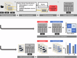 A software pipeline for medical information extraction with large language models, open source and suitable for oncology