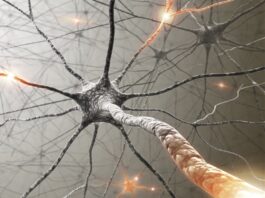 AI tool accurately distinguishes between glioblastoma and primary central nervous system lymphoma