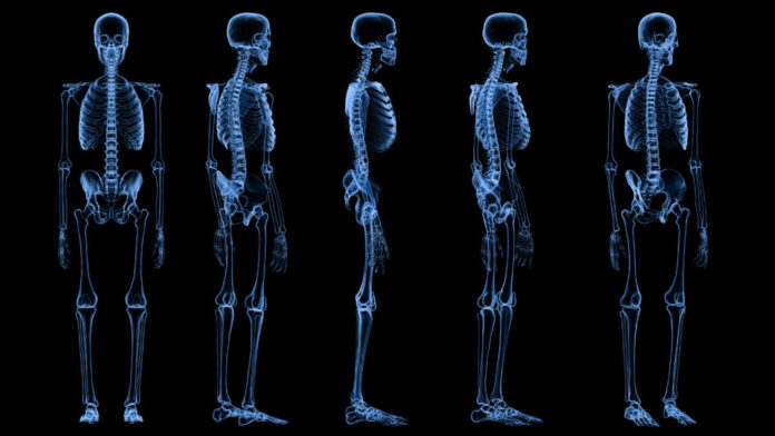 AI is helping my doctors treat my cancer