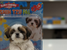 I turned my pet into a Nano Banana 3D figurine: Step-by-step guide with expert prompts for your dog and cat