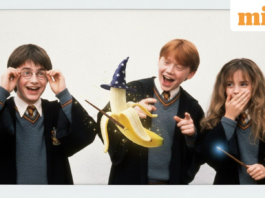 Create polaroid selfies with your favourite Harry Potter character using Gemini