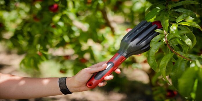 Tropical Agro Unveils AI – enabled Tech Tools to tackle India’s 7 million tonnes Fruit Loss Problem