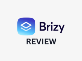 Brizy review.