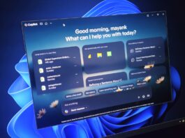 Windows 11 Copilot app