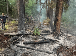 Climate Tech Firm Raises CA$1.29M to Expand AI Risk Tools in Canada