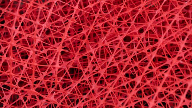 Chemists Can Discover New Polymers More Quickly With AI