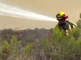 How the Bevel app can help amid a wildfire or disaster – NBC 7 San Diego