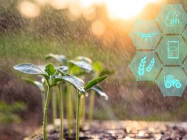 Consumers mostly support AI tools to improve food and agriculture