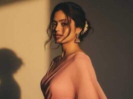 Google Gemini Nano Banana AI saree trend: Common mistakes to avoid while generating your portraits