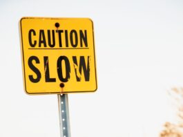 Drawing on the US Census Bureau’s fortnightly survey of more than one million firms, the research shows a downward trend in reported adoption of AI tools among businesses with 250 or more employees