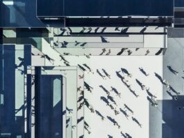 AI Governance: Practical Guidance from Hong Kong Privacy Commissioner for Personal Data | Insights