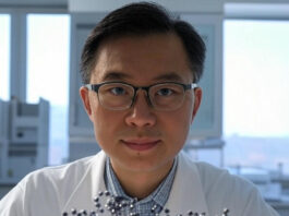MIT and DeepMind's AI Tool Designs Stable Quantum Materials, Yields New Compounds