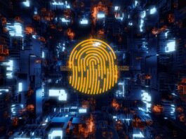 How To Balance Democratization And Control
