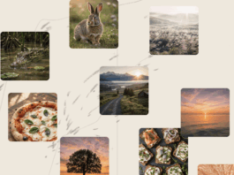 Microsoft’s first in-house AI art model is here—and it’s gunning for DALL·E, Midjourney, and OpenAI