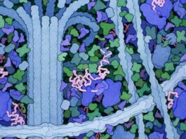 Google’s Innovative AI Revolutionizes Drug Discovery and Advances Scientific Research Google’s new AI for drug discovery is a win for scientific discovery