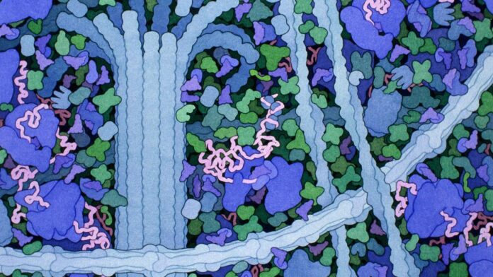 1wbiosites-cytoplasm.jpg Google’s new AI for drug discovery is a win for scientific discovery