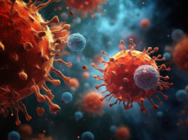 scHDeepInsight uses AI to classify immune cells quickly and accurately, providing researchers with a reliable tool for studying healthy and disease-altered immune systems.