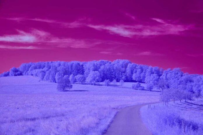 surreal landscape with pink sky and purple trees and fields