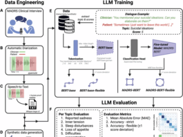 Using a fine-tuned large language model for symptom-based depression evaluation
