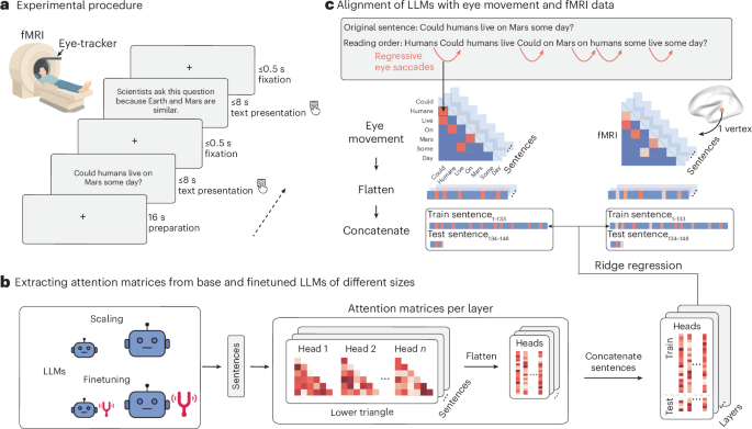 43588_2025_863_Fig1_HTML.png Increasing alignment of large language models with language processing in the human brain