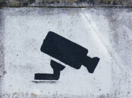 Parks Associates Study Finds Cloud AI Video Tools Key to Next-Gen Monitoring