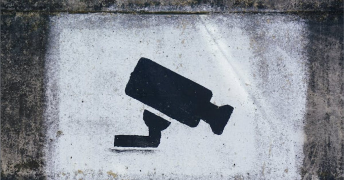 Parks Associates Study Finds Cloud AI Video Tools Key to Next-Gen Monitoring