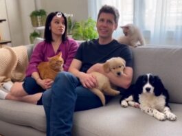 OpenAI’s Sora app stuns with lifelike AI videos |