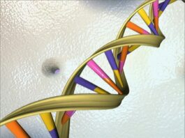 Google's new AI tool can read DNA like a language, and see immediately if a word substitution will change the meaning of that sentence, the company says